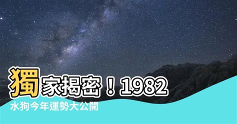 1982 水狗